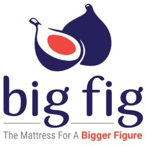 Big Fig Logo