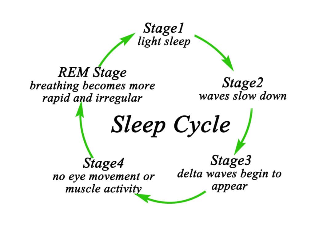 Stages of sleep cycle