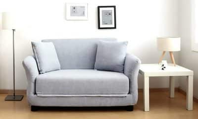 Best Pull Out Sofa Beds