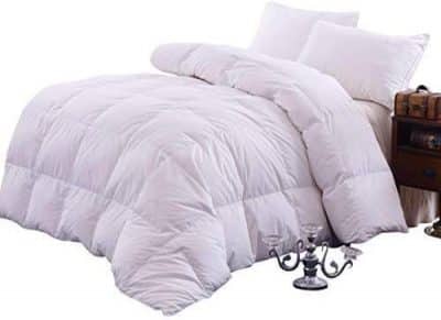 Most Comfortable Down Comforters