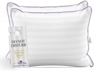 hotel luxury collection down pillows