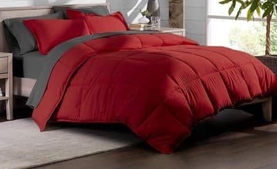 Best Colored Down Comforters
