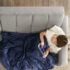 Top 10 Best Bed Throws And Blankets Reviews