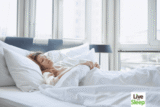 Live And Sleep Mattress Review