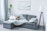 Best Sectional Sleeper Sofas (In-Depth Reviews With Comparison)